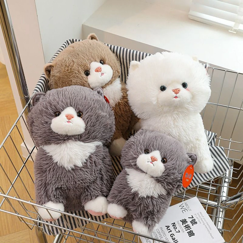 

25/33CM Boudot Cat Plush Toy Cute Simulation Long Hair Cat Cub Small White Pet Decoration Sofa Child Christmas Birthday Gift