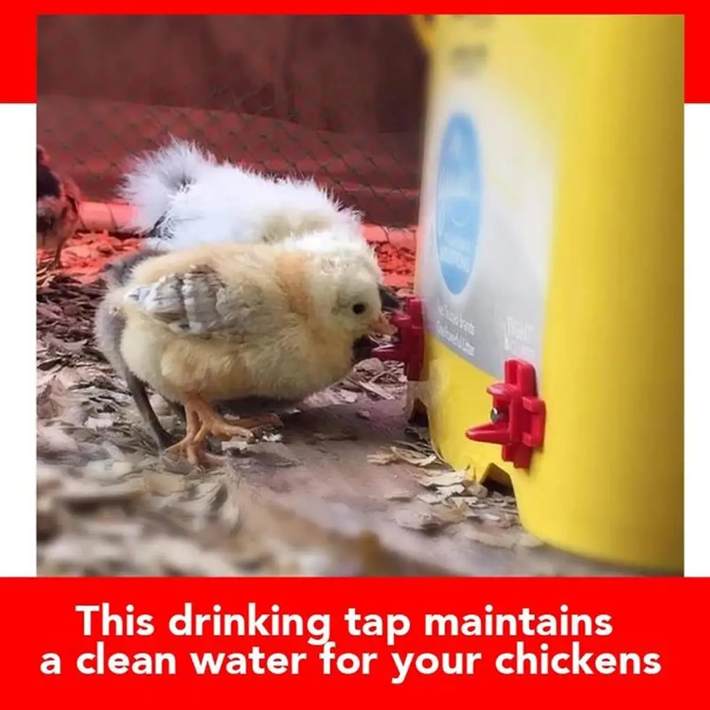 10 шт. пластиковые поилки для цыплят и птиц |