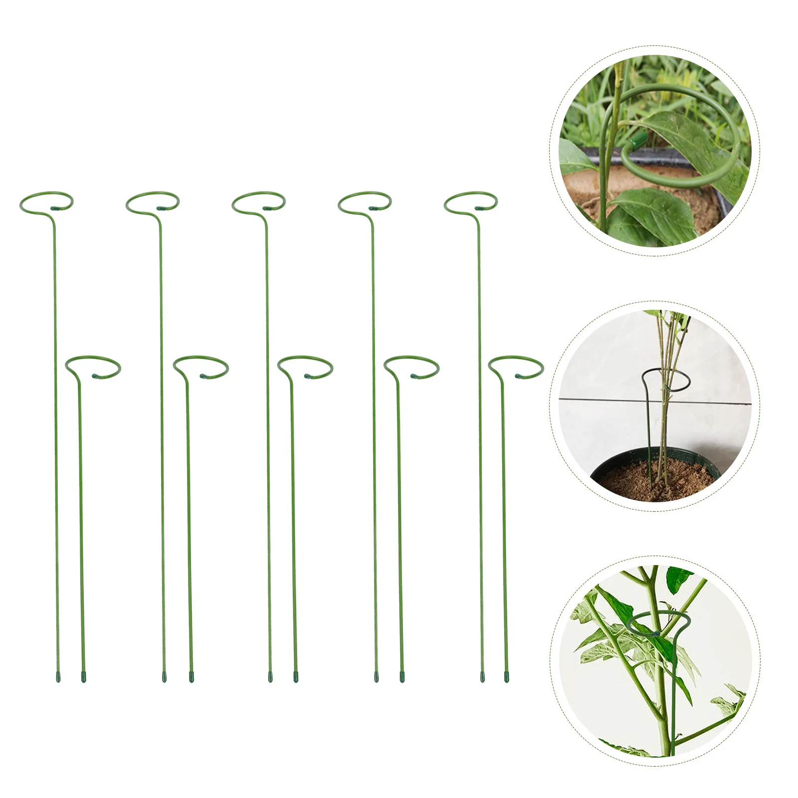 

10 Pcs Phalaenopsis Orchid Stand Fixed Flower Support Potted Small Bonsai Rod Bracket Plants Gardening