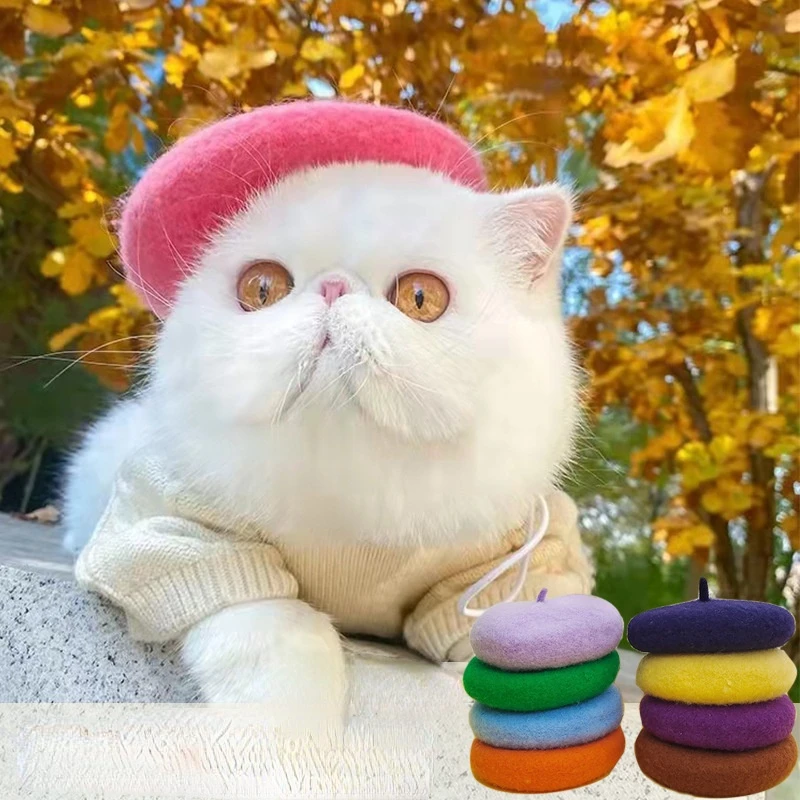 

Woolen Beret Hat for Cat Grace Pet Supplies Kitten Dog Outfit Cats Accessories Pets Cat Hat