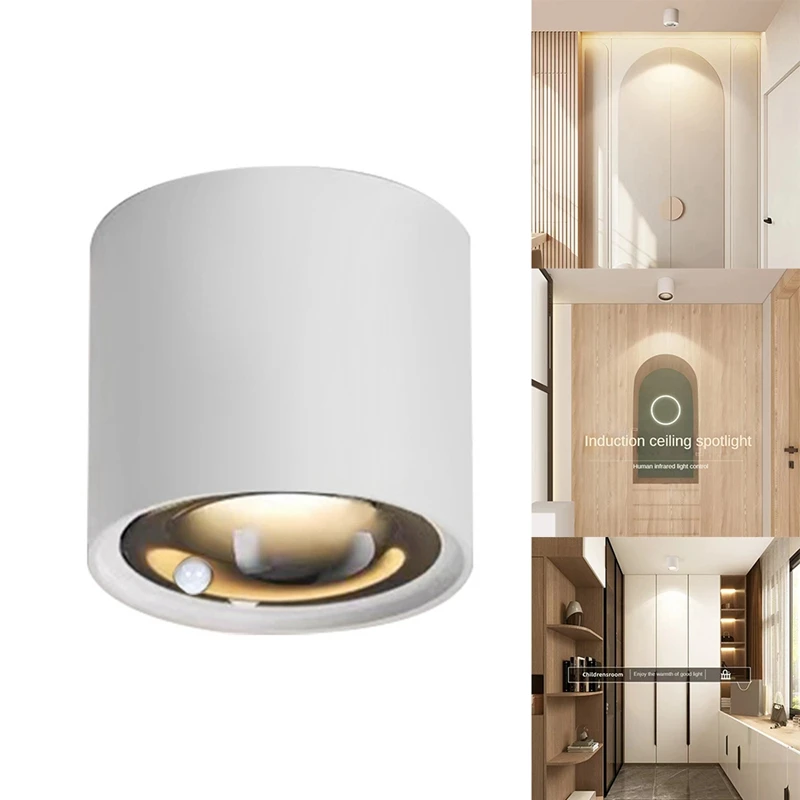 

Human Body Induction Spotlight Ceiling Sensor Light Lamp COB Downlight Lighting Room Surface Installed 12W 4000K