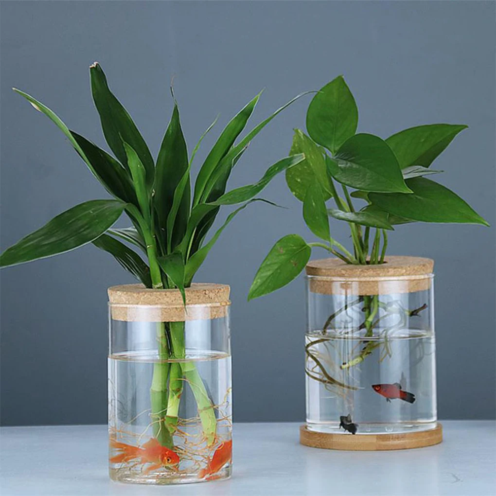 

Glass Vase Home Office Dorm Garden Plants Flowers Seed Starting Clear Grow Pot Container Desk Decoration 6 5x10cm
