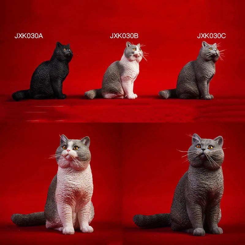 

1/6 Scale JXK030 British Short-tailed Cat British Short Pet Static Model Hand-made GK Ornament for 12" Figure Doll Accessories
