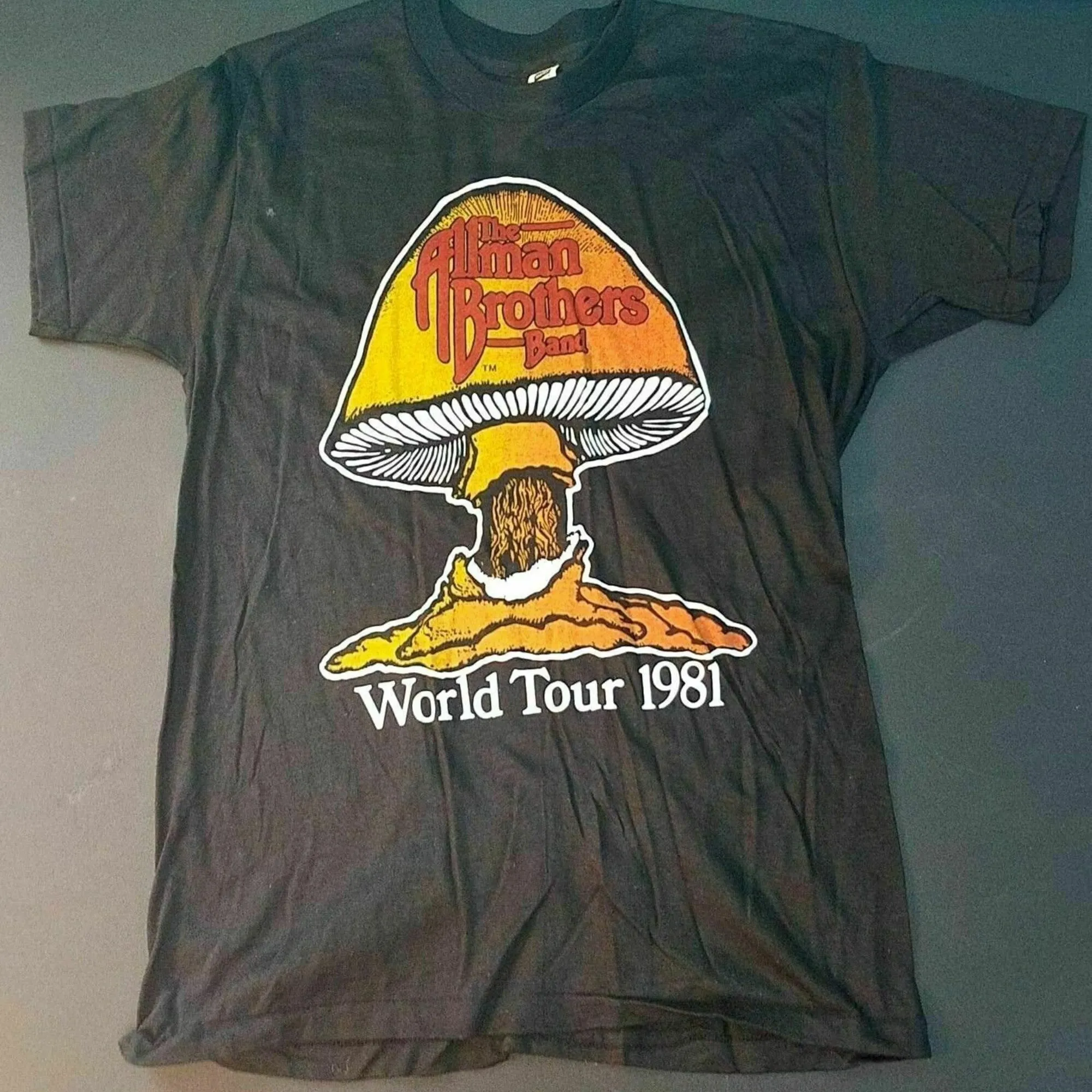 New Desa Be Top Allman332 Brothers винтажная черная рубашка с концертным туром 1981 N et Best Yo NDa