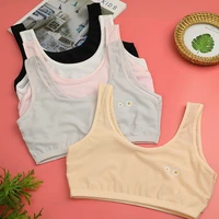 breathable mesh embroidered daisy student bra gift girl bra teen crop top underwear vest puberty sport training bras streetwear