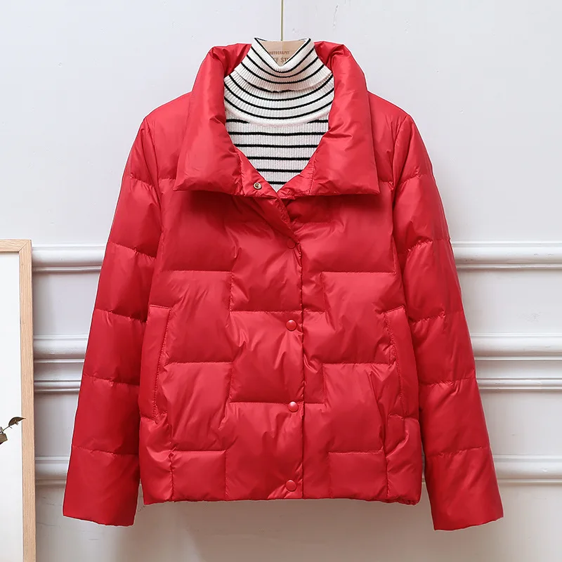 Lightweight Stand Neck Solid Color Jacket Woman Winter 2023 Demi-season Parka Spring Quilted Demi-season Thin Down In Outerwear enlarge