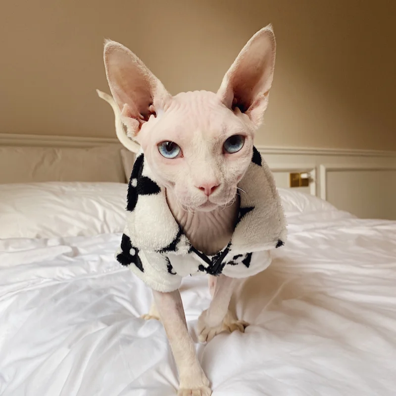 Sphynx Hairless Cat Clothes Sphinx Devon Short Legs Warm Fleece Fine Reading Pyjamas Autumn Winter Thick Coat Free Shipping