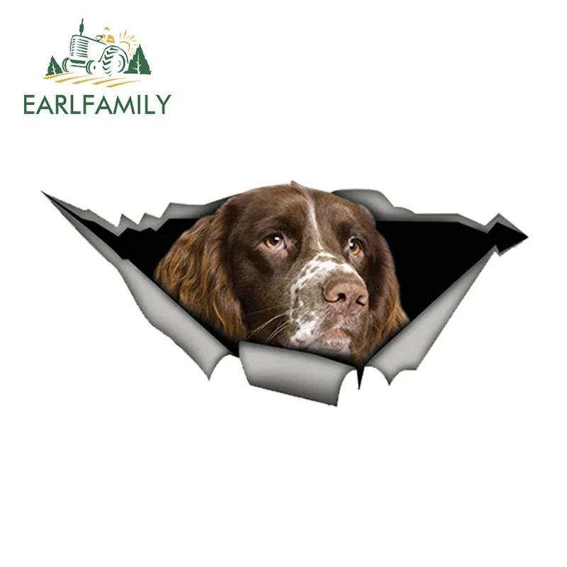 EARLFAMILY 13 см x 6 Springer Spaniel Автомобильная наклейка рваная металлическая