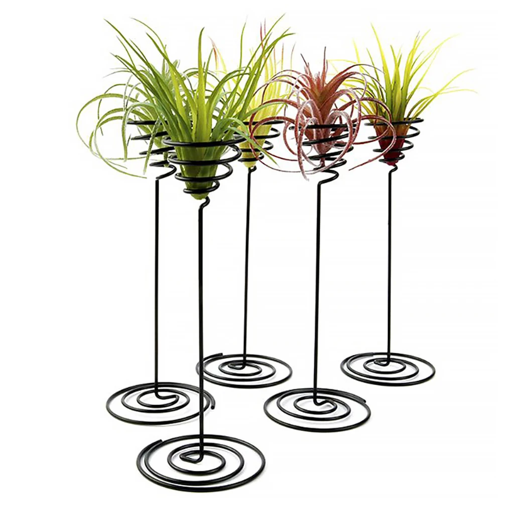 

Air Pineapple Base Soilless Airplant Plant Desktop Rack Iron Outdoor Landscape Greenhouse Holder Decoration Accessory