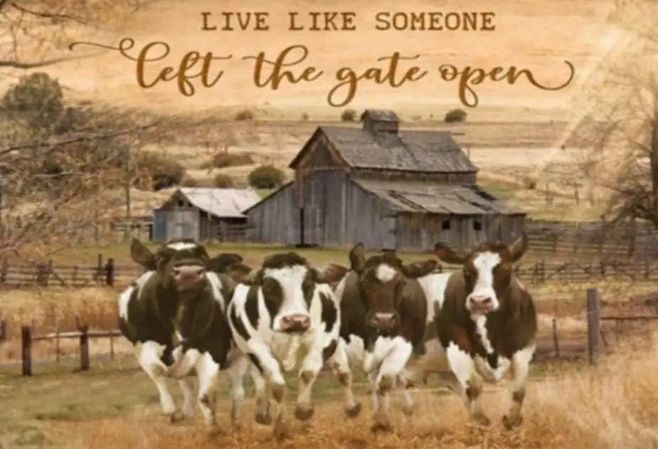 Ретро Metl Tn Sgn Cows Lve Lke Someone Left The Gte Open Rustc Wll Decor Plte Vntge for Street &ampmp Home Br Club