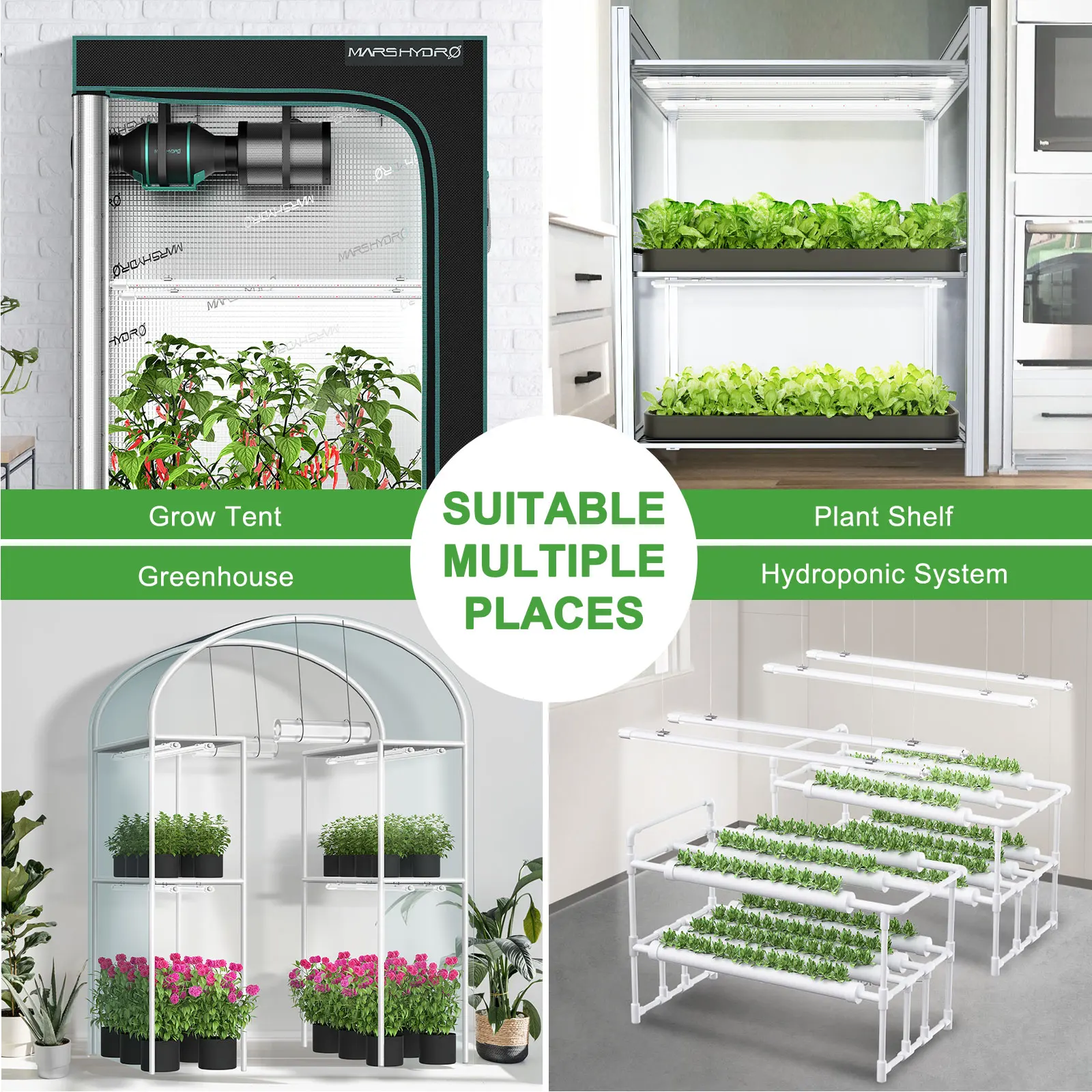 Рисунок 5 - Скидка 50%! Новинка