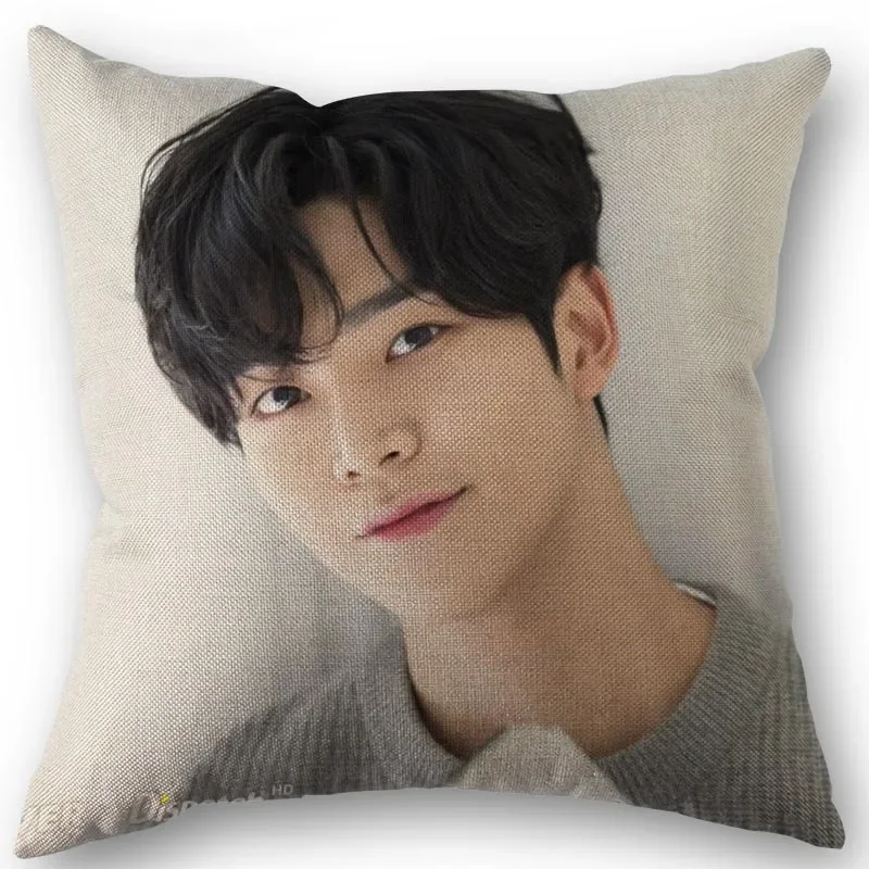 

Льняная хлопковая наволочка SF9 Rowoon 45x45 см