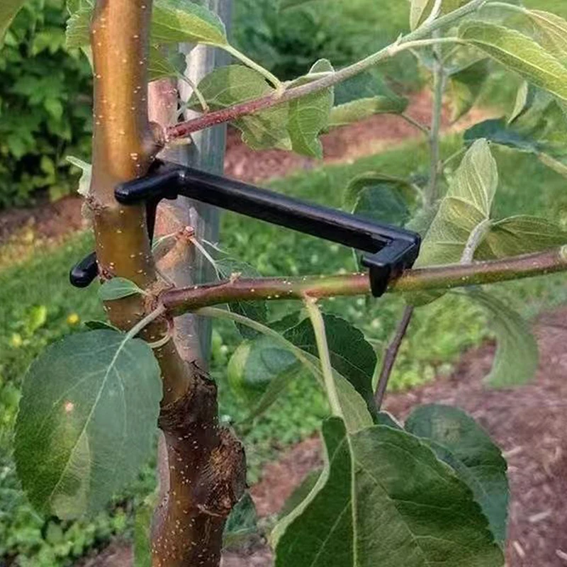 20 шт. съемник ветвей садовые растения опорная рама фруктовых деревьев