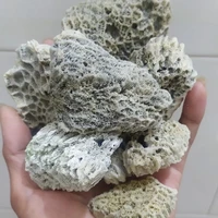 500g nature fish tank landscape coral reef coral reef bone shipped with 3 20 cm suitable for tank bottom landscape decorative