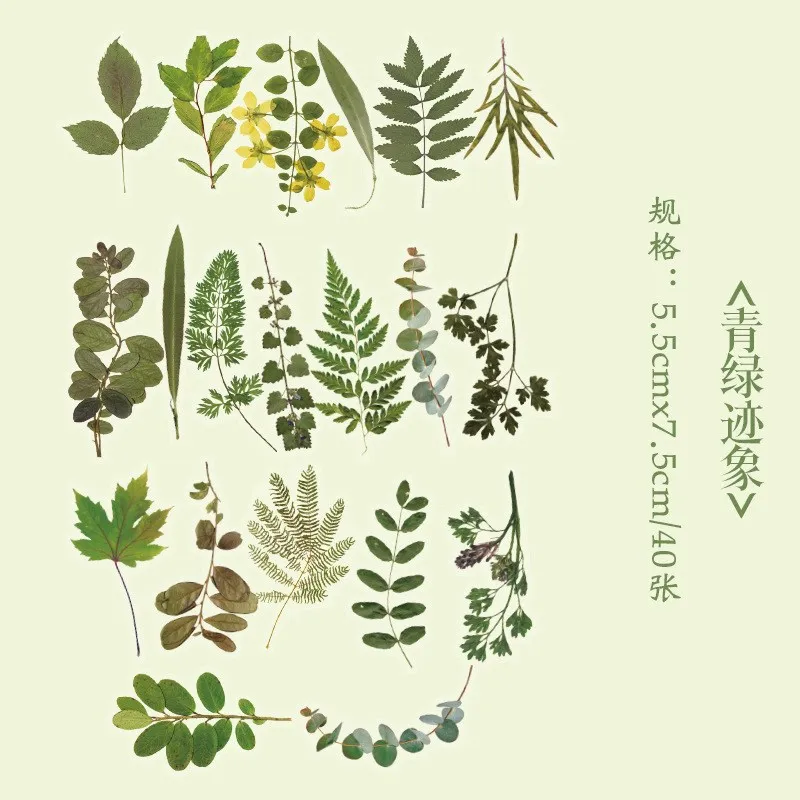 

Винтажные наклейки с цветами и растениями Gimue