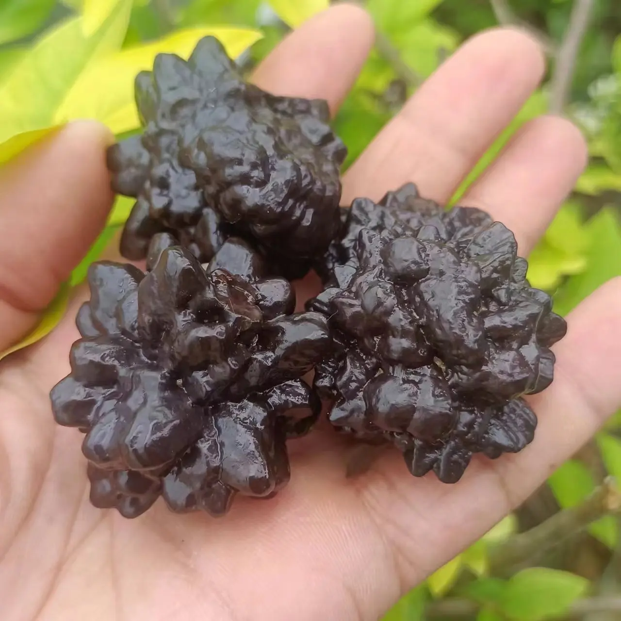 Природный египетский пророчественный камень кварцевый кристалл Западный край