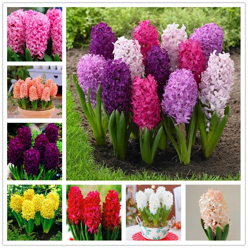 

Парфюмерные гиацинтные лампы, 2 шт., искусственные ароматные цветы