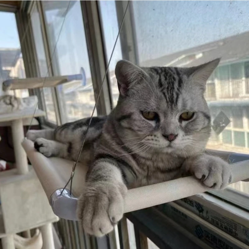 

Cat Window Perch Seat Hammock Strong Suction Cups Holds for Indoor Resting Seat Safety, Breathable Washable Mesh Durable Frame