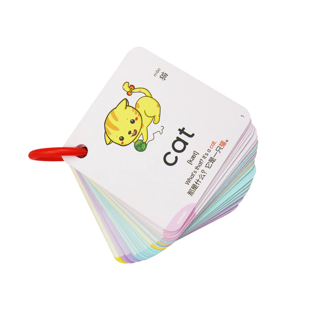 

School Kids Chinese English Word Card Set Daycare Cartoon Style Children Learning Cards Educational Toy Plaything