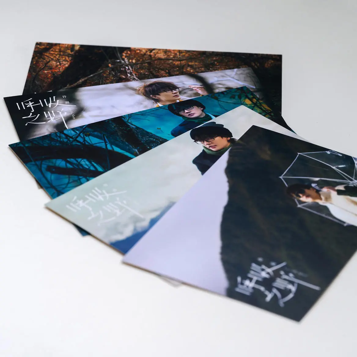 Фото VAE Xu Song «Дыхание дикой природы» Официальный набор альбомов в формате Deluxe |   CD + фотокнига + открытки + плакат (китайское издание) №3