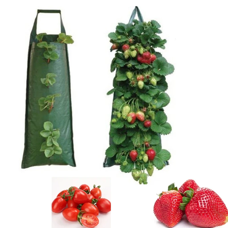 

Garden Strawberry Grow Bags Greenhouse 4/6/8/10 Pockets Strawberry Planting Bags Home PE Wall Hanging Vegetable Tomato Grow Bag