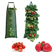 garden strawberry grow bags greenhouse 46810 pockets strawberry planting bags home pe wall hanging vegetable tomato grow bag