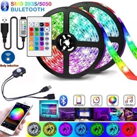 body induction led strip light usb 2835 rgb 5050 flexible lamp tape infrared bluetooth control 5v tv backlight party decoration