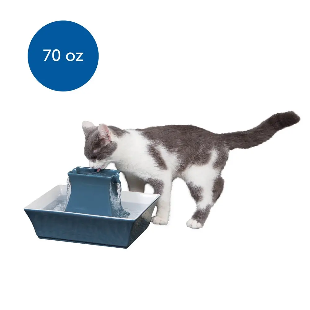 

Drinkwell Ceramic Pagoda Fountain - Himalayan Blue