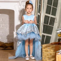 light blue satin toddler birthday flower girl dress silver embroidery wedding party dresses fashion show first communion