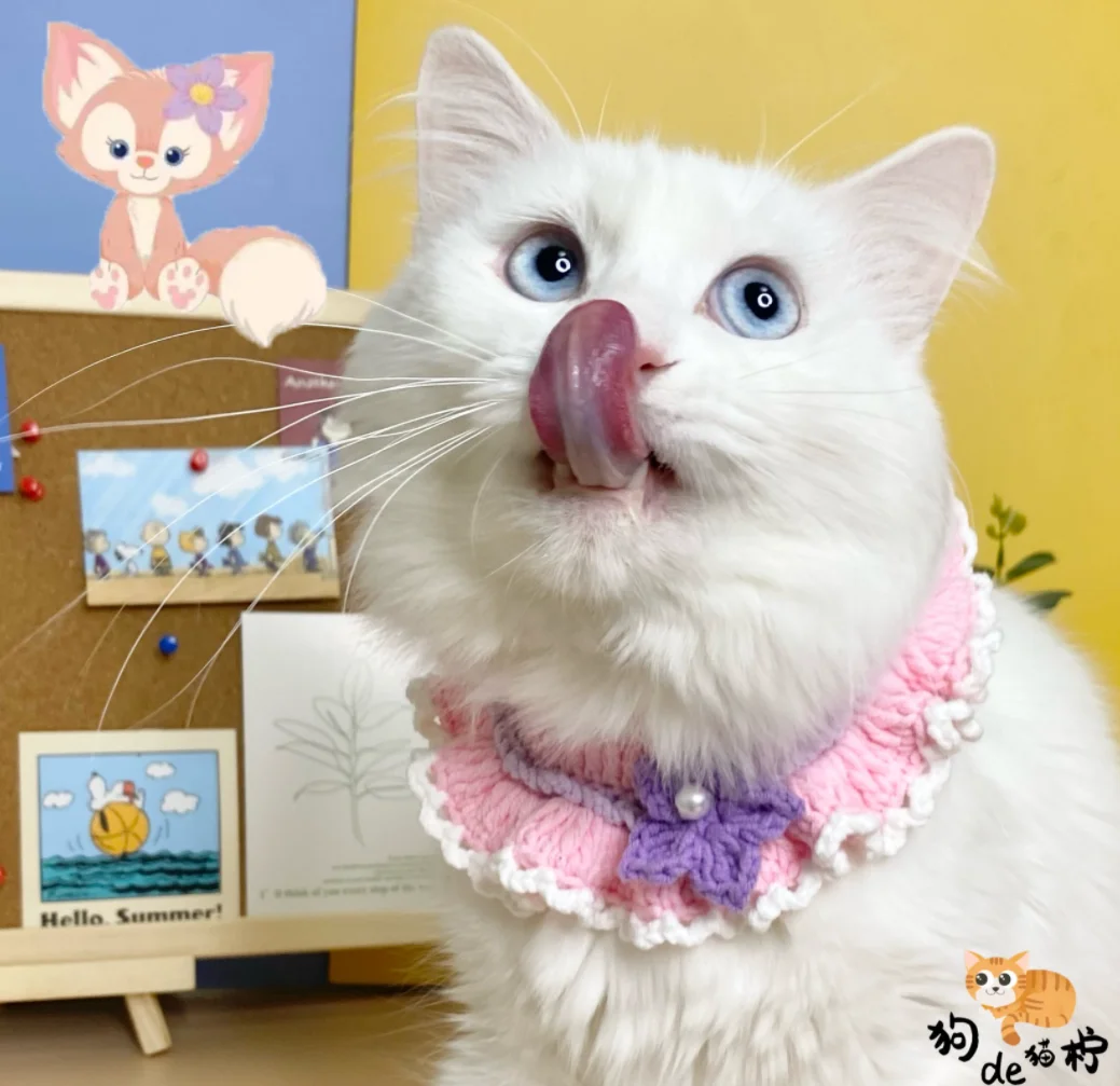 

Pet scarf dog bib cat cat scarf cat collar knitted wool handmade custom