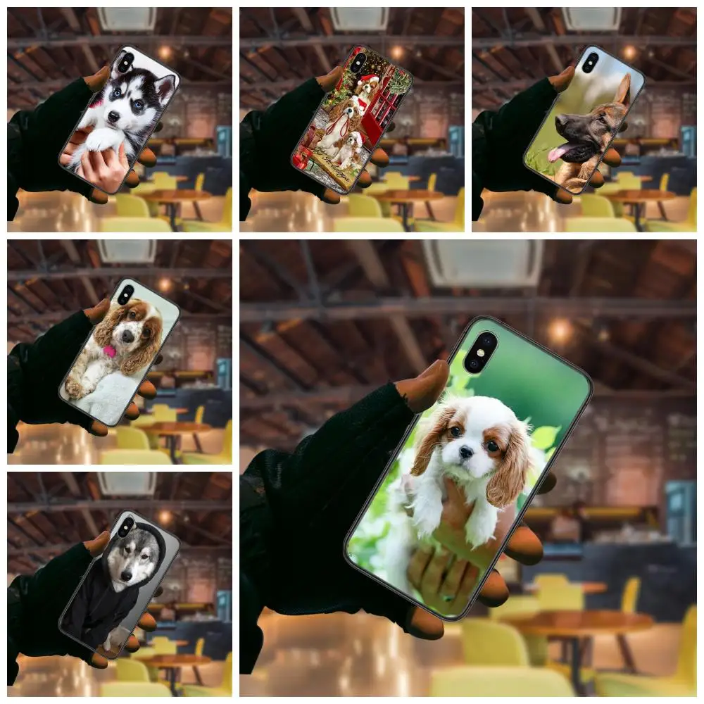 

For Redmi Note 10 9 9S 9T 8 8T 7 6 5 5A 4 Pro Max 4G 5G Black Back Art Cover Fashion Hoesjes Cavalier King Charles Spaniel Dog