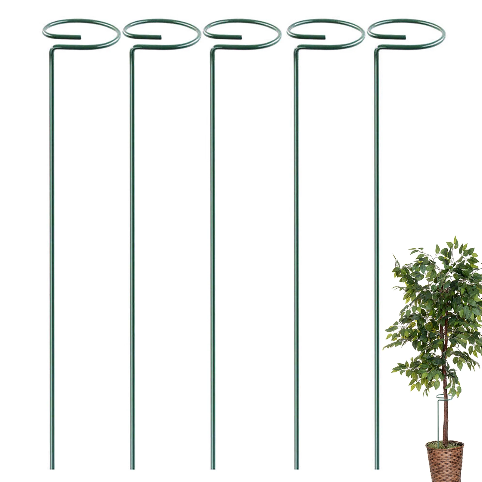 

Plant Stake Support Garden Single Stem Support Stake Plant Rings Single Stem Plant Support Stakes Stakes For Flowers Amaryllis