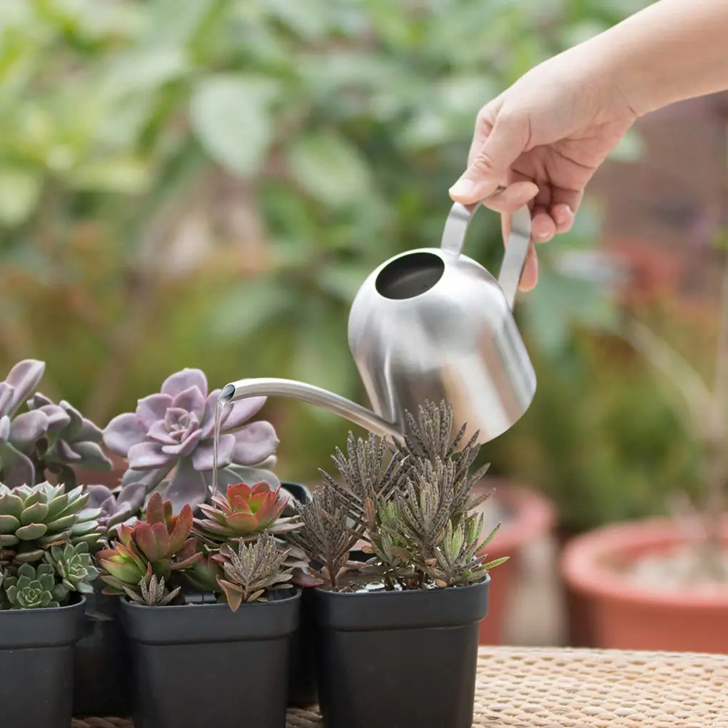 

Stainless Steel Watering Can Round Sprinkling Pot with Long Mouth Flower Plant Gardening Supplies