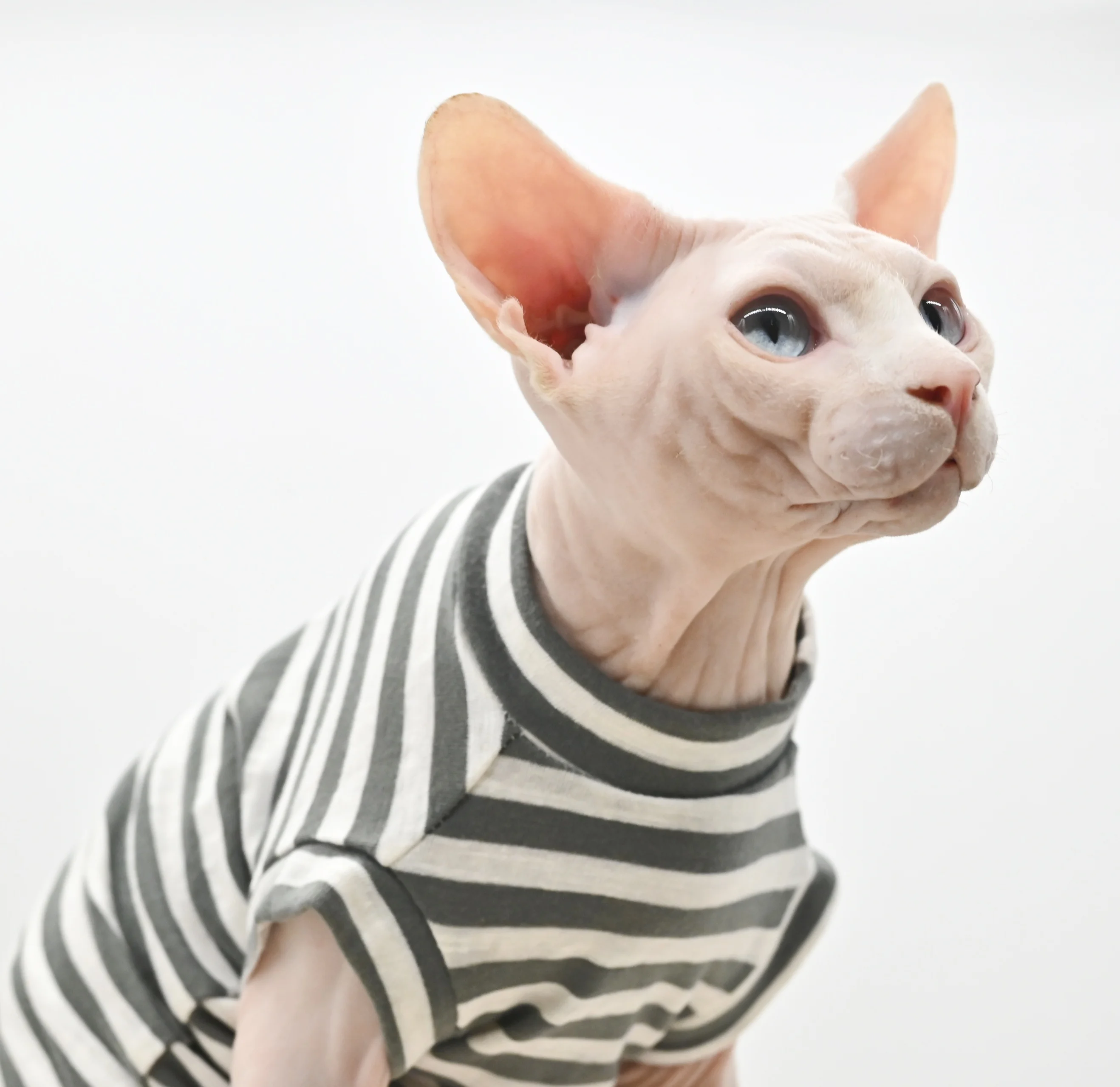 

Sphynx Cat Clothes Cotton Kitty Clothes Bottoming Stretchy and Soft Hairless Cat Shirt Outfits Bald Cat Clothes for Cats