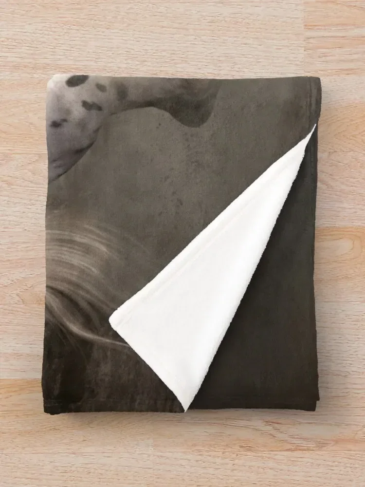 Плед Leopard Appaloosa-Shiloh одиночные одеяла для диванов