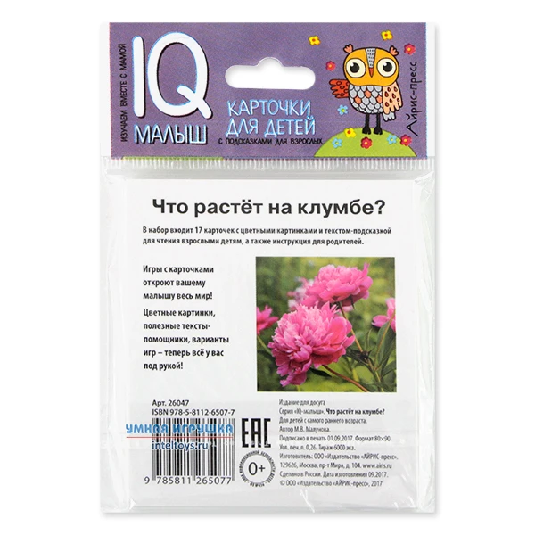 Карточки Что растет на клумбе – Умный малыш Айрис-Пресс | Игрушки и хобби