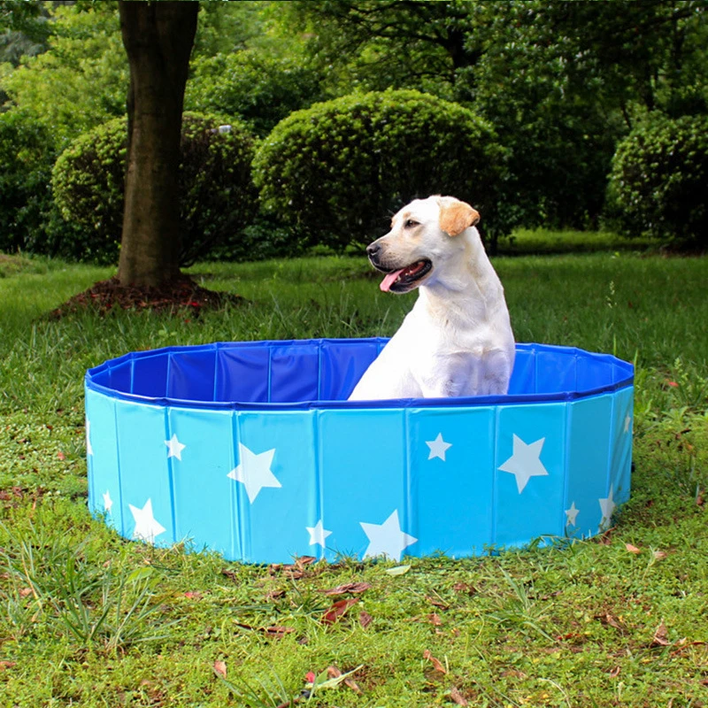 Beste Hundebetten hart