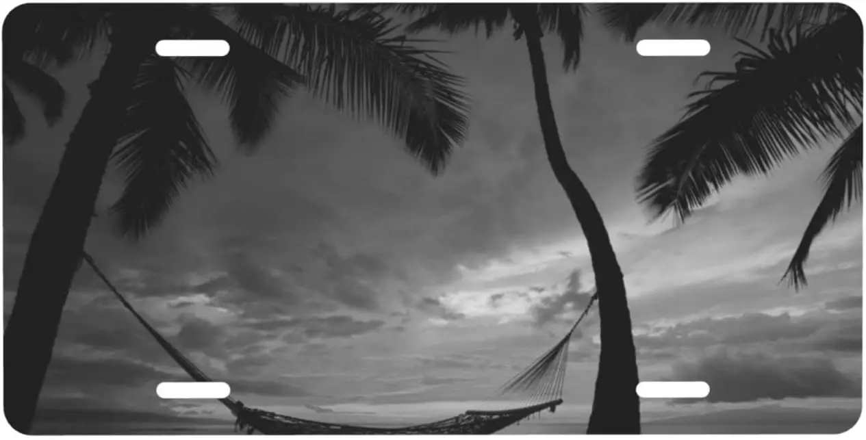 

Personalized License Plate,Black and White Beach Aluminum License Plate for Car Easy Mounting Indoor/Outdoor 6 X 12 Inch