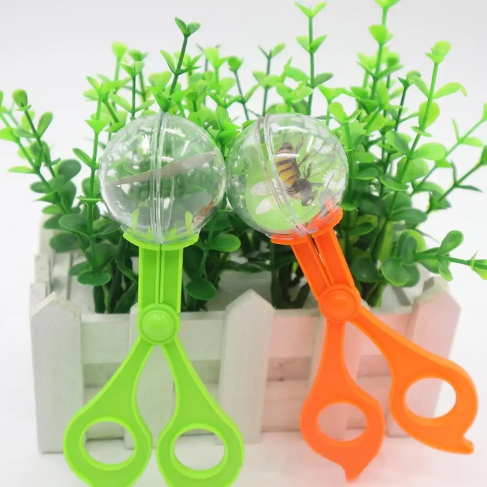 

Insect Trap Handy Scoopers Bug Catcher Set Insects Scissors Outdoor Toys Child Portable Insects Catcher Tongs Light Tweezers