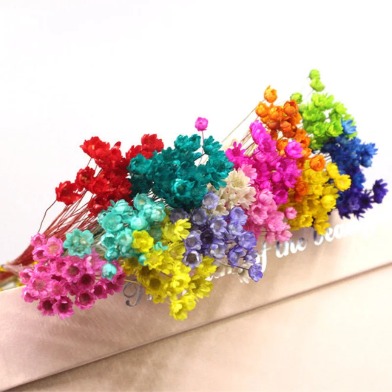 

30Pcs Dried Flowers UV Resin Filler Mini Brazil Star Chrysanthemum Flower DIY Epoxy Resin Mold Art Craft Jewelry Making Supplies
