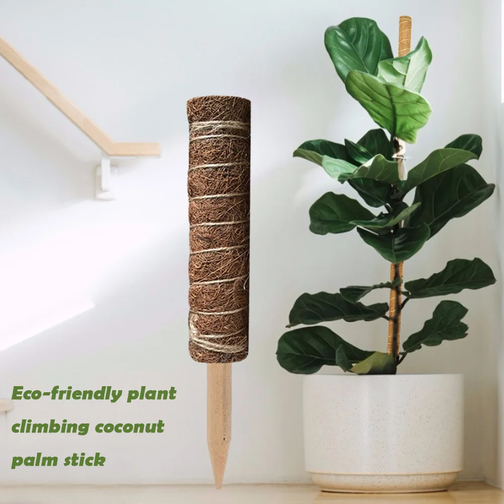 

Vines Climber Indoor Outdoor Plant Climbing Pole Vines Creepers Frame Flower Rack Home Gardening Tool Supplies