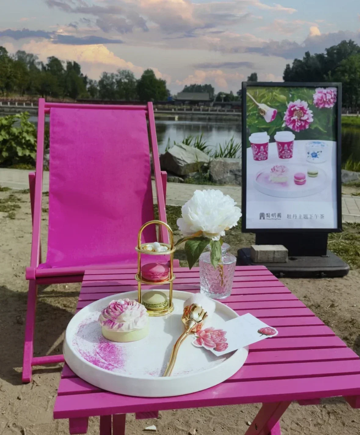 Розово-красный пляжный стул солнцезащитный козырек необычный магазин орнамент