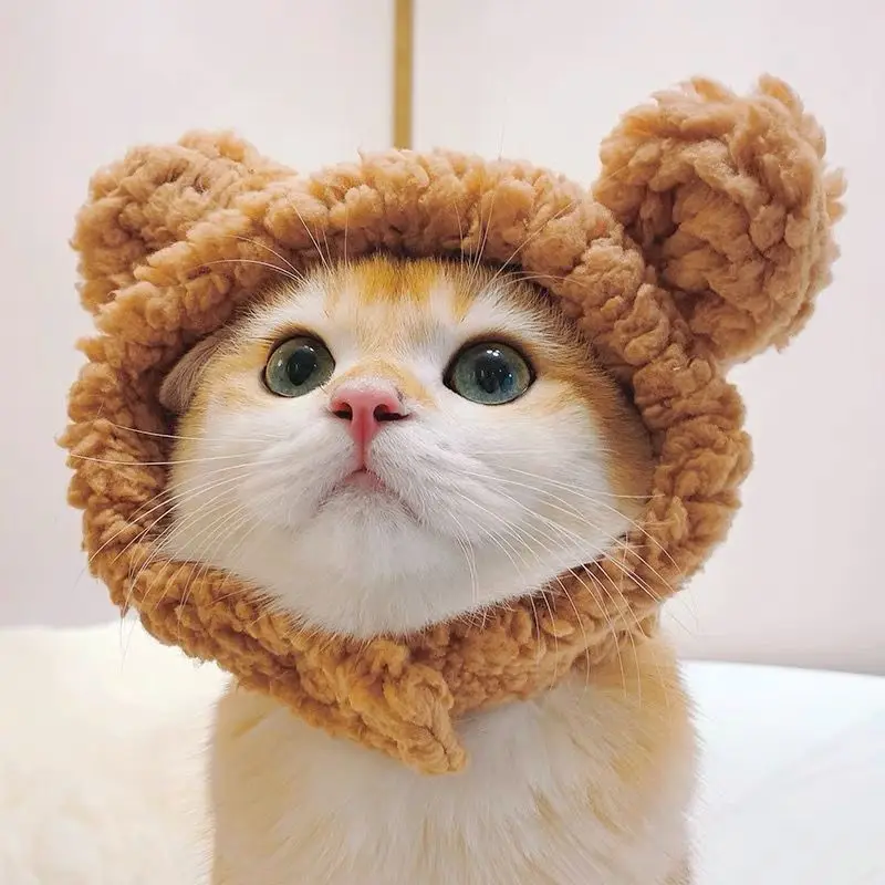 Cat Hat Lovely Sweet Lamb Cashmere Bear Plush Pet Headgear Pet Hat Cat and Dog Headdress Cat Assessoires Kitten and Puppy