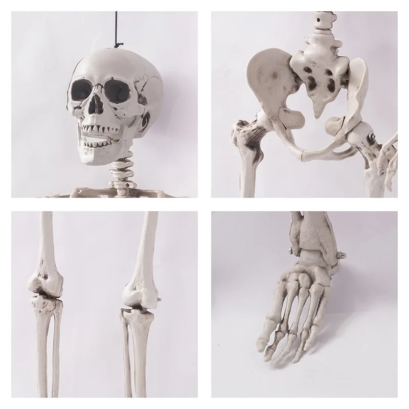 Подвижный скелет для Хэллоуина 90 см поддельные человеческие кости черепа