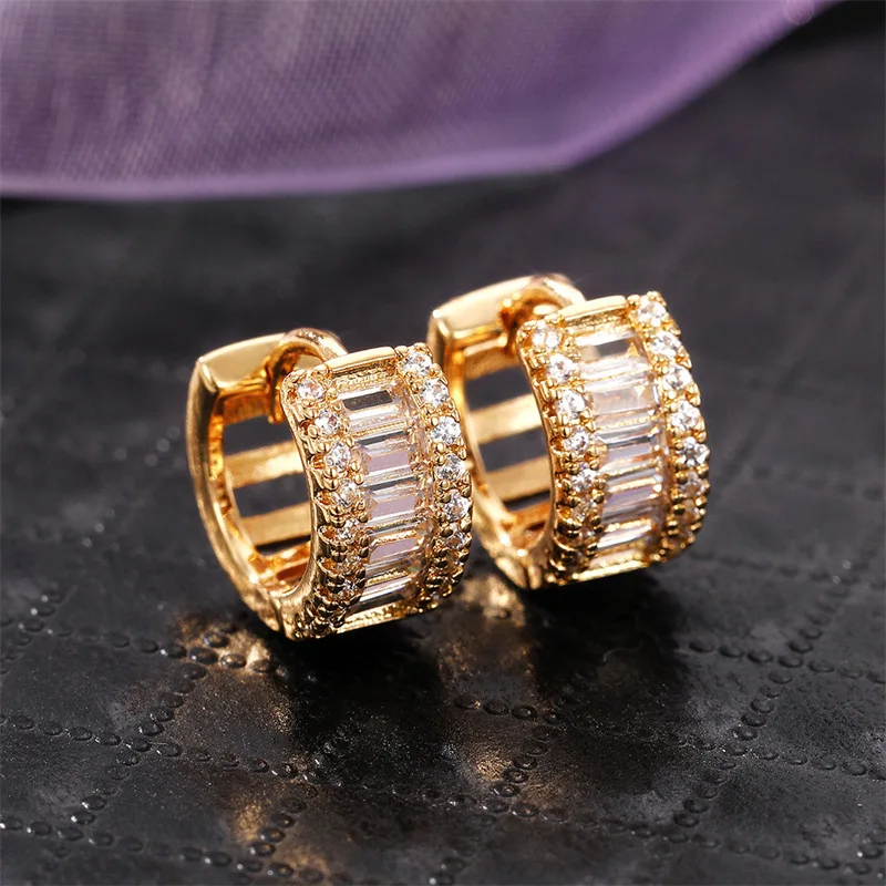 

2023 New Zircon Earrings with Zircon Oxide Gold Silver Earrings Fashion Versatile Earrings for Men and Women Perforated Jewelry