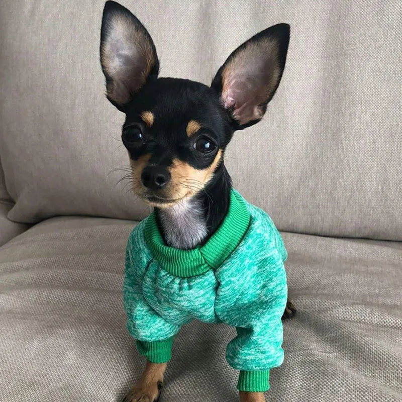 

Pet Clothes Sweater Pets Dogs Clothing For Dogs Costume Classic Puppy Dog Coat Pet Overalls Cat Chihuahua Clothes Ropa Perro