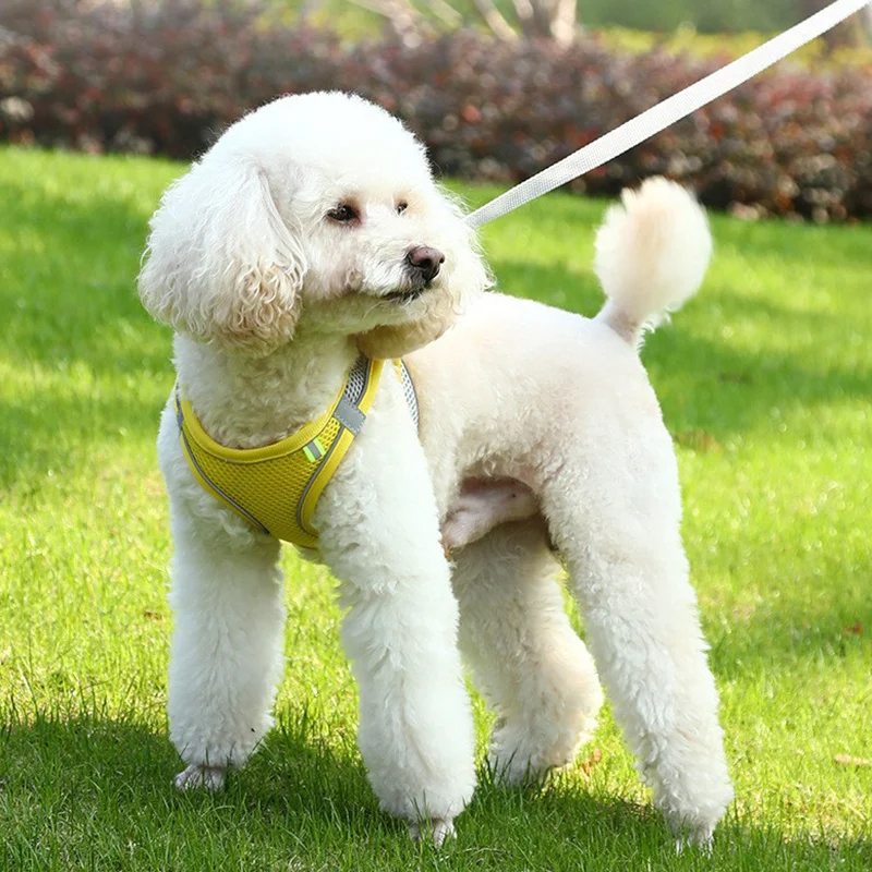 

Breathable Cat Harness Escape Proof Reflective Small Dog Necklace Yellow Vest Adjustable Kitten Collar Pet Chest and Lead Set