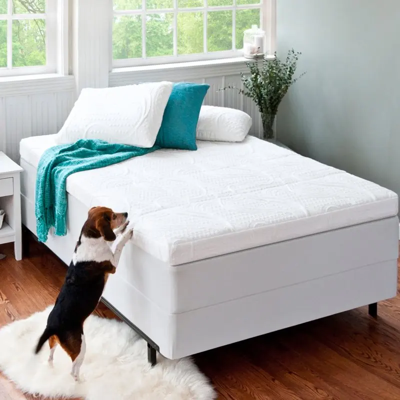 

4” Green Tea Pressure Relief Memory Foam Mattress Topper, Queen