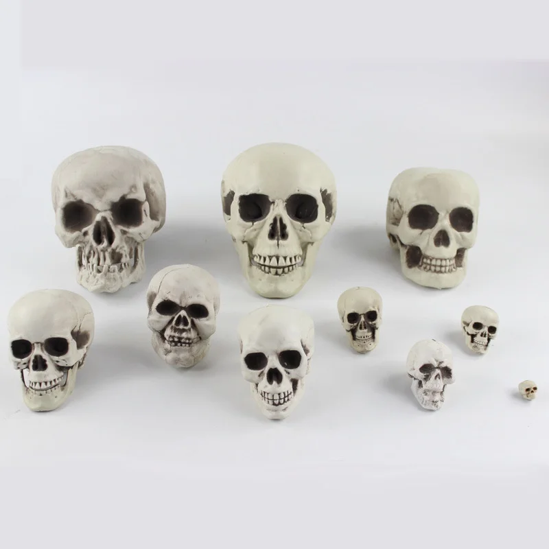 

1Pcs Skeleton Head Model Resin Craft Skull High Quality Statues Sculptures Replica Skull Decor Prop Halloween Home Decor