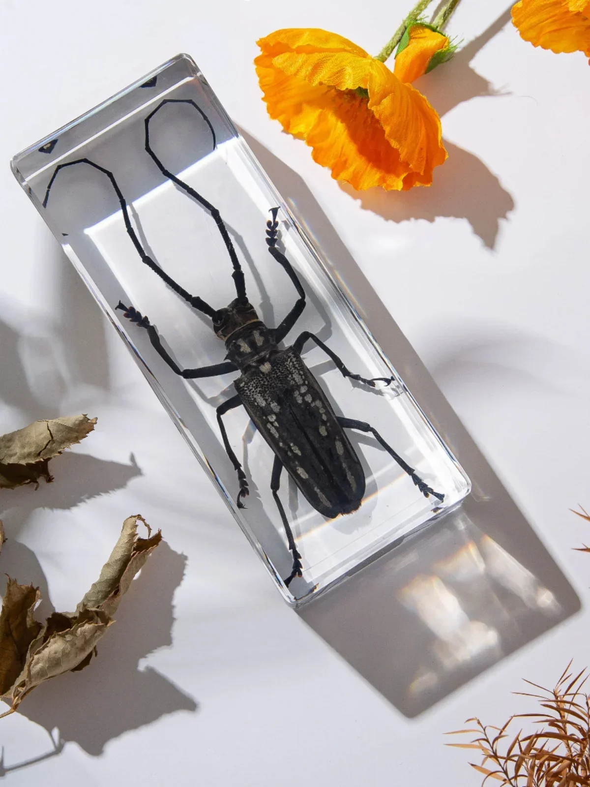 Стиль искусственный образец прозрачный зернистый белый пятнистый длинный